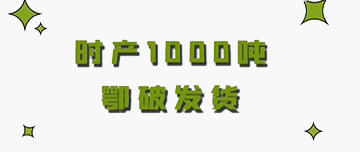 設備發(fā)貨|時產1000噸鄂破發(fā)貨